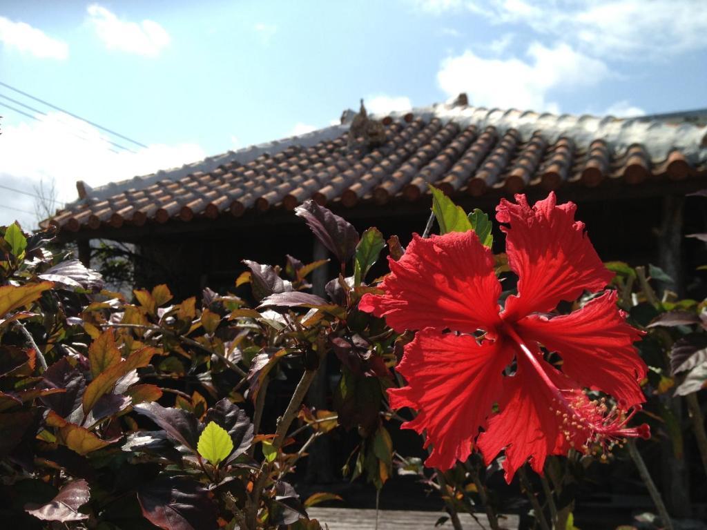 ホテル Nakijin No Yado Hibiscus エクステリア 写真