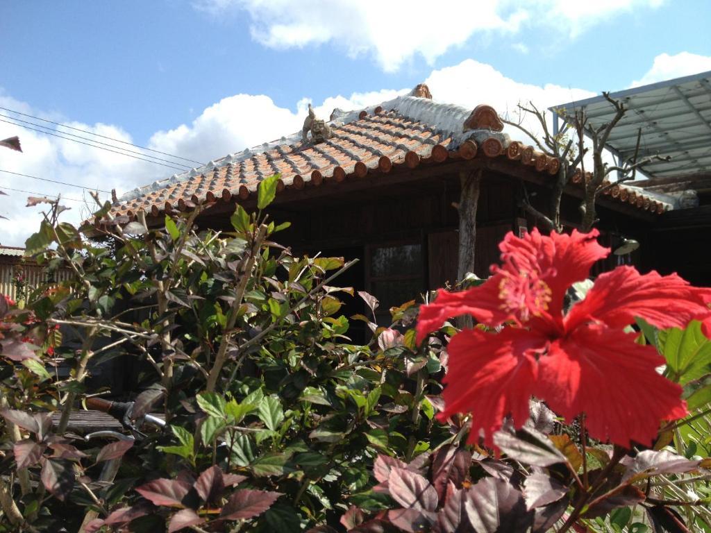 ホテル Nakijin No Yado Hibiscus エクステリア 写真